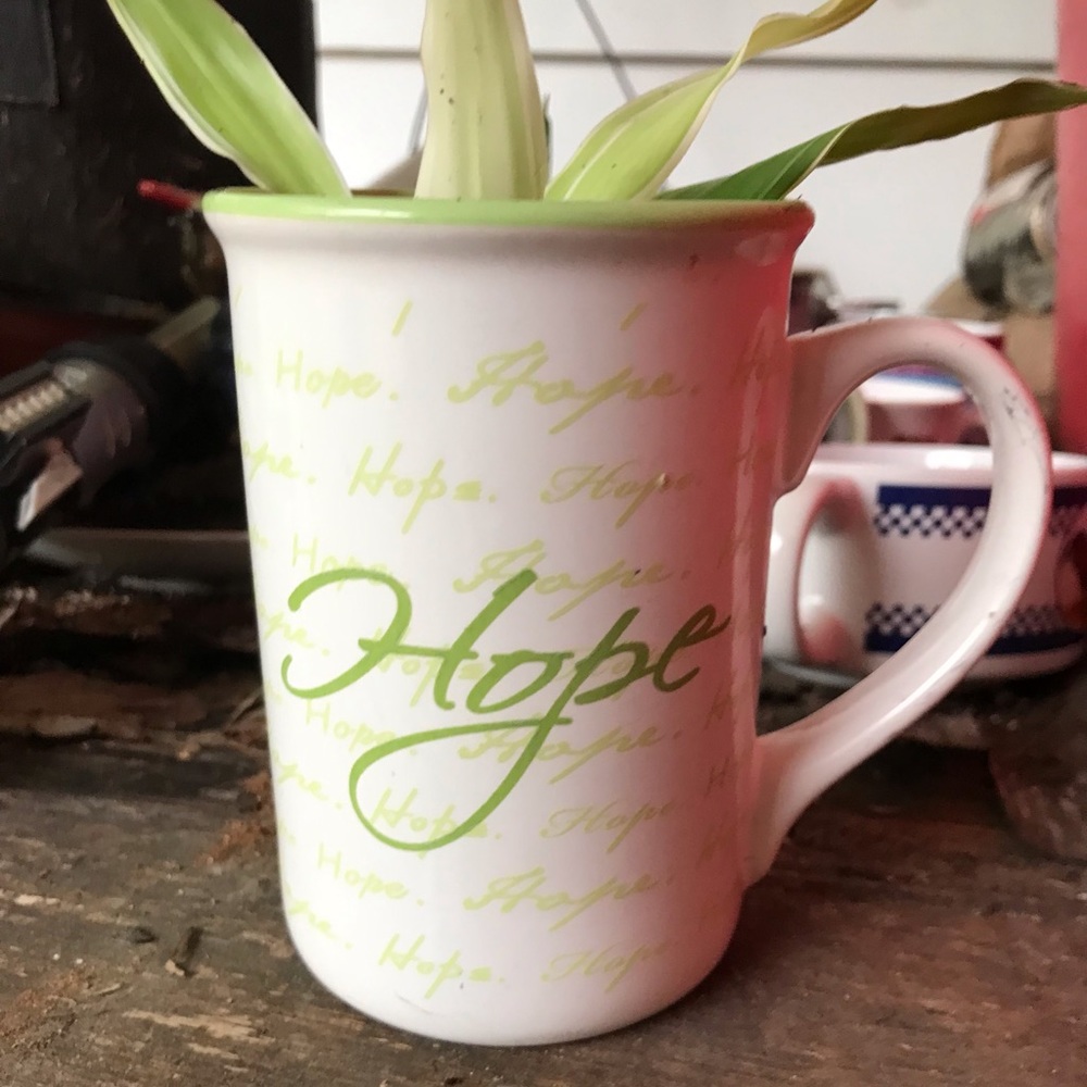 SOLD**SOLD Hope mug planter / x2 Cuttings 🪴